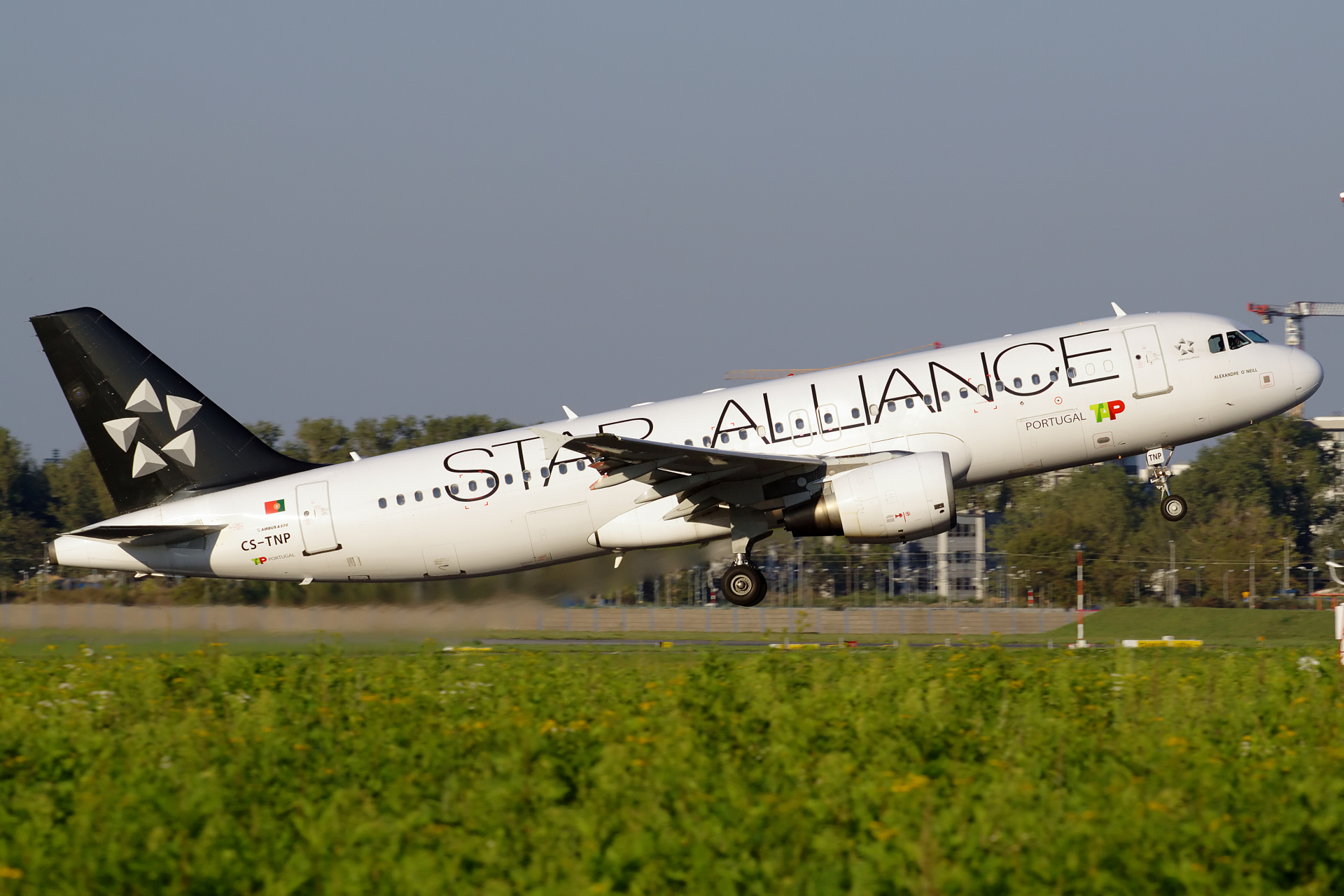 CS-TNP (Star Alliance livery) (Aviation &raquo; EPWA Spotting &raquo; Airbus A320-200 &raquo; TAP Air Portugal)