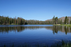 Sylvan Lake (Podróże &raquo; USA: Na ziemi Czejenów &raquo; Wielka Podróż &raquo; Park Narodowy Yellowstone)