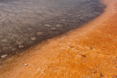 Grand Prismatic Spring (Podróże &raquo; USA: Na ziemi Czejenów &raquo; Wielka Podróż &raquo; Park Narodowy Yellowstone &raquo; Gejzery, gorące źródła i jeziora &raquo; Midway Geyser Basin)