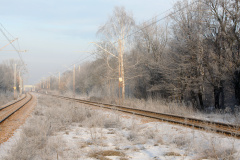 Winter Wonderland (Otwock)