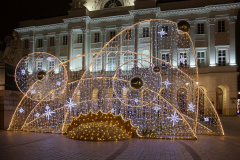Copernicus (Warsaw &raquo; Christmas Illumination)
