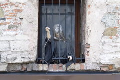 IMG_2845 (Podróże &raquo; Stambuł &raquo; Poza szlakiem)