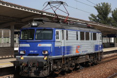 EP07-517 (Vehicles &raquo; Trains and Locomotives &raquo; HCP 303E &raquo; PKP Intercity)