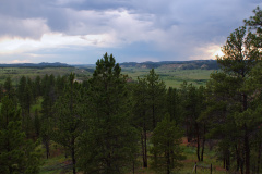 Lynch Coulee (Podróże &raquo; USA: Drogi nie obrane &raquo; Rezerwat)