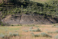 IMG_6321 (Travels &raquo; US Trip 3: The Roads Not Taken &raquo; The Rez &raquo; Ashland, Tongue River Valley and Birney Divide &raquo; Logging Creek)