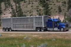 International Eagle 9900 (Podróże &raquo; USA: Drogi nie obrane &raquo; Pojazdy)