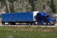 Peterbilt 387 (Travels &raquo; US Trip 3: The Roads Not Taken &raquo; Vehicles)