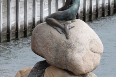 Den Lille Havfrue - Mała syrenka (Podróże &raquo; Kopenhaga &raquo; Miasto za dnia)