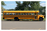 Blue Bird/GMC School Bus
